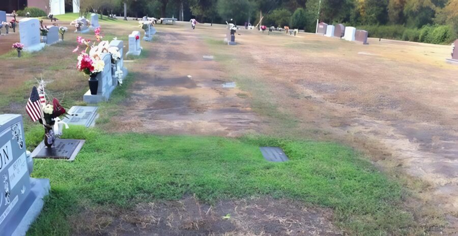 An unknown person was leaving flowers on my son's grave: one day, I discovered a message