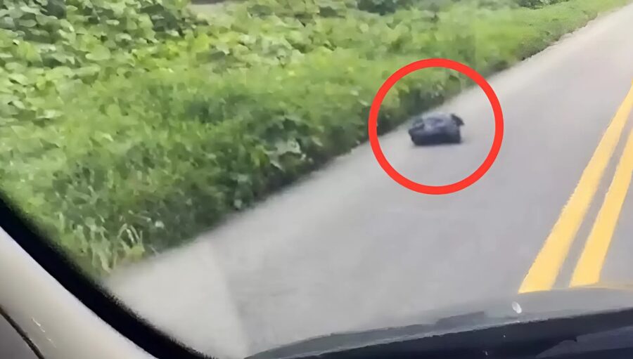 A driver threw a trash bag out of the window, and we were shocked to discover what was inside